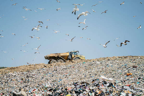 Los mitos más comunes sobre el reciclaje (y la verdad detrás de ellos)