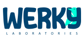 werky lab´s agencia de marketing