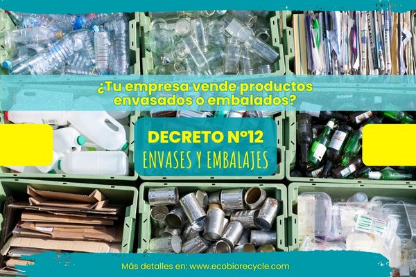 El Decreto Supremo N°12/2020 establece metas obligatorias para gestionar envases y embalajes bajo la Ley REP en Chile.