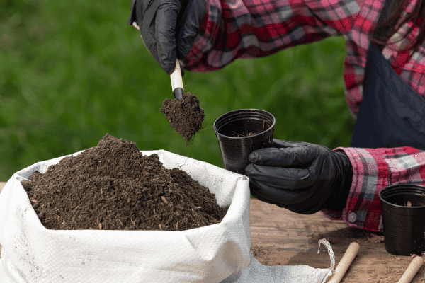 biofábricas en Chile impulsan la agricultura sostenible